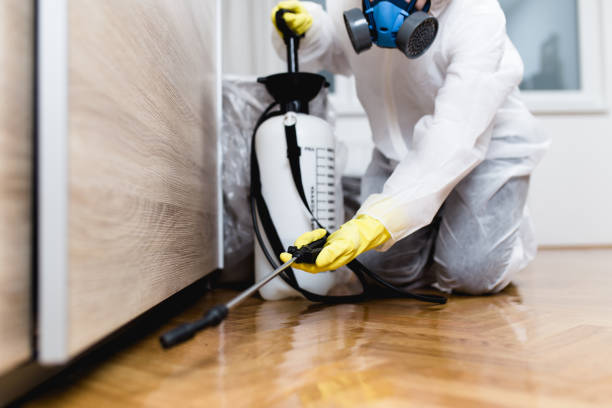 Best Exterminator Services  in Park Hill, OK