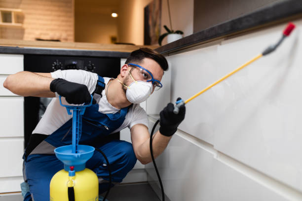 Best Rat Extermination Near Me  in Park Hill, OK