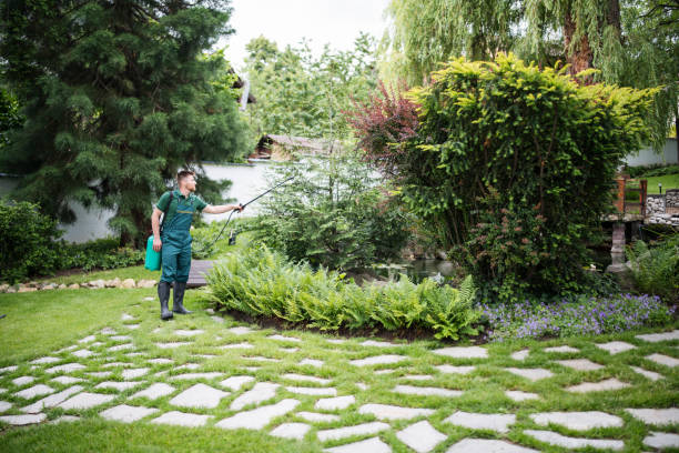 Best Ant Control Services  in Park Hill, OK