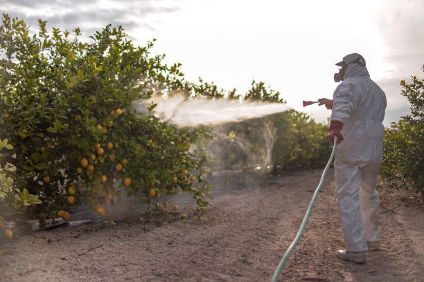 Best Pest Control Near Me  in Park Hill, OK
